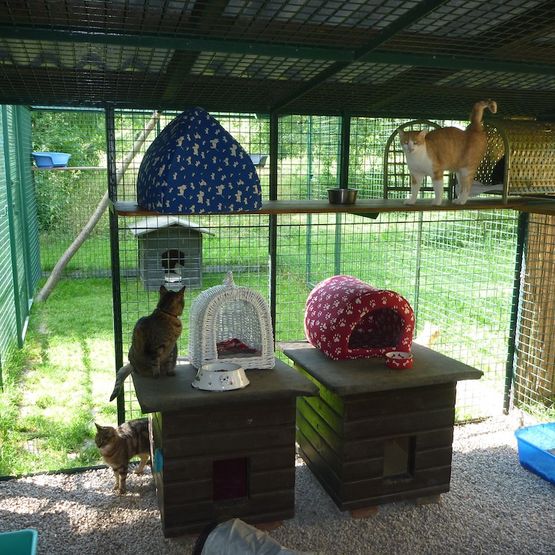 Tierklinik - Hundepension - Katzenpension - Kleintierpension - Gaaden