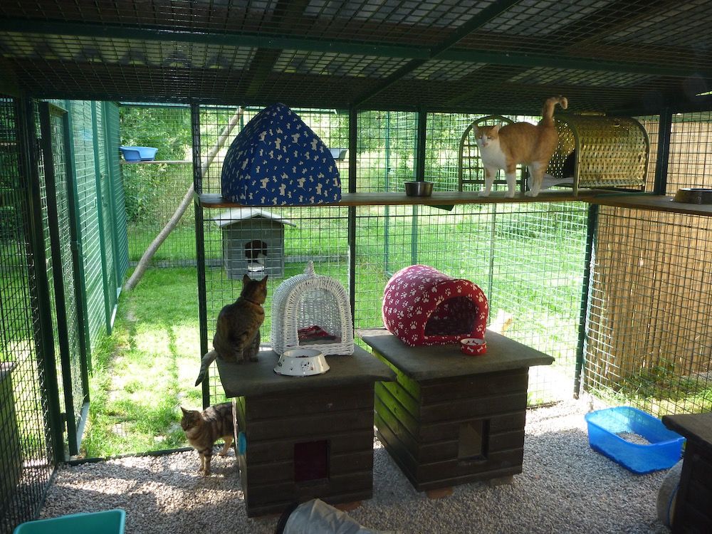 Tierklinik - Hundepension - Katzenpension - Kleintierpension - Gaaden
