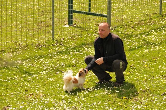 Tierklinik - Hundepension - Katzenpension - Kleintierpension - Gaaden
