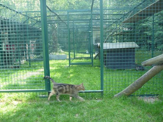 Tierklinik - Hundepension - Katzenpension - Kleintierpension - Gaaden
