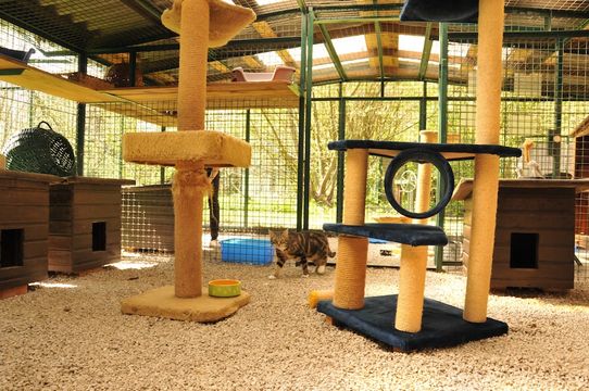 Tierklinik - Hundepension - Katzenpension - Kleintierpension - Gaaden