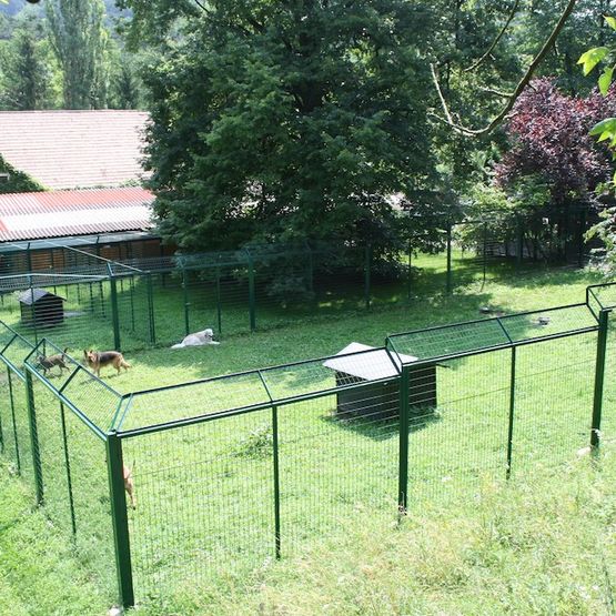 Hundepension Gaaden