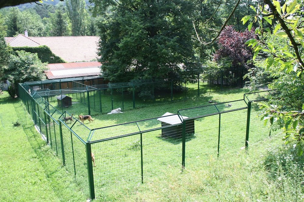 Hundepension Gaaden