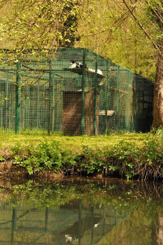 Tierklinik - Hundepension - Katzenpension - Kleintierpension - Gaaden