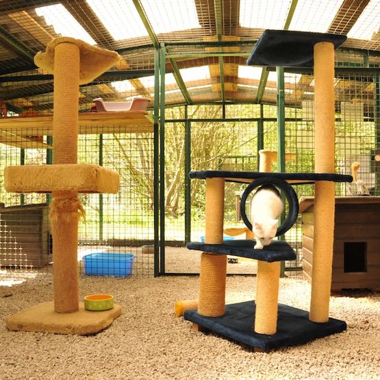 Tierklinik - Hundepension - Katzenpension - Kleintierpension - Gaaden