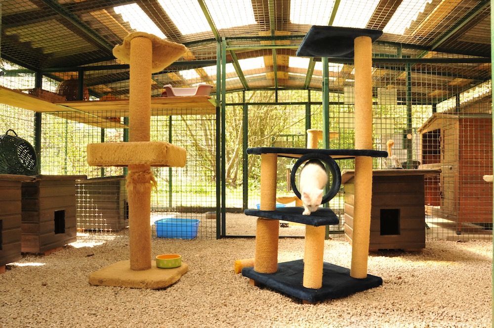 Tierklinik - Hundepension - Katzenpension - Kleintierpension - Gaaden