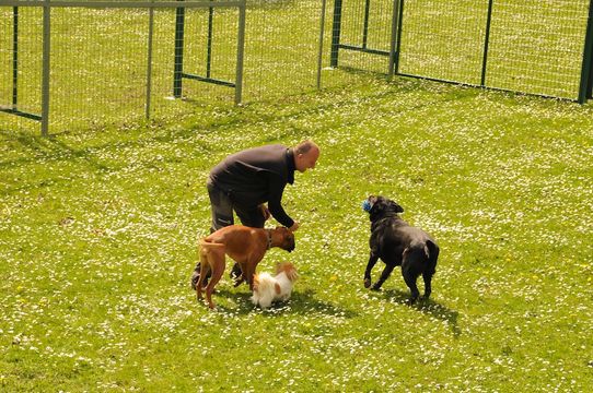 Tierklinik - Hundepension - Katzenpension - Kleintierpension - Gaaden