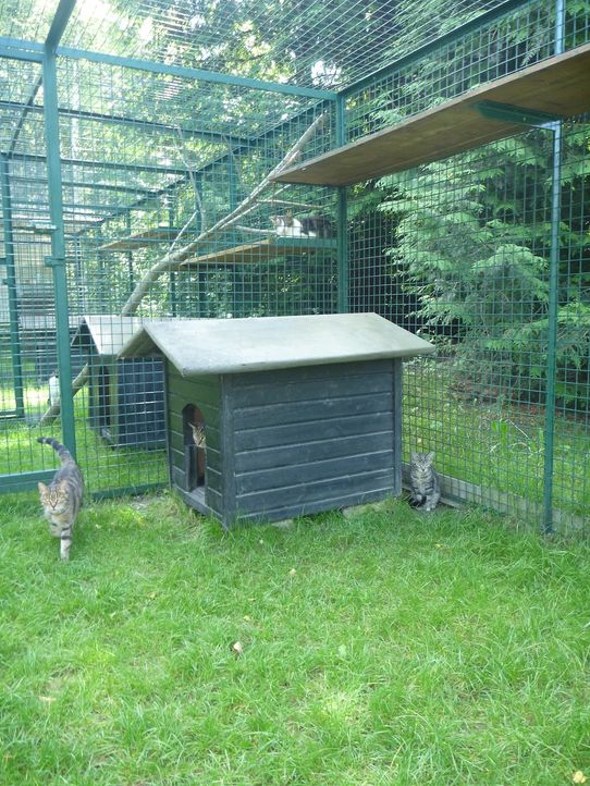 Tierklinik - Hundepension - Katzenpension - Kleintierpension - Gaaden