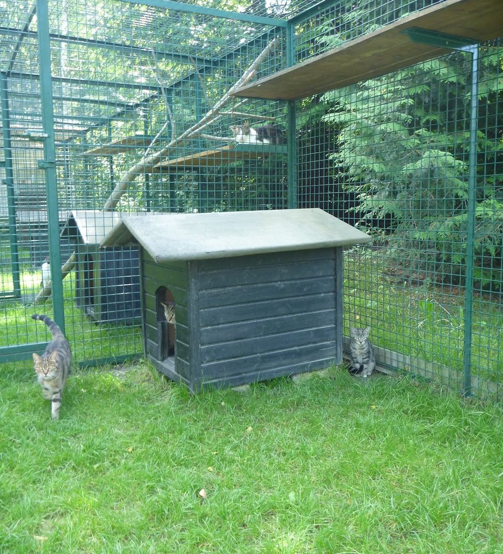 Tierklinik - Hundepension - Katzenpension - Kleintierpension - Gaaden