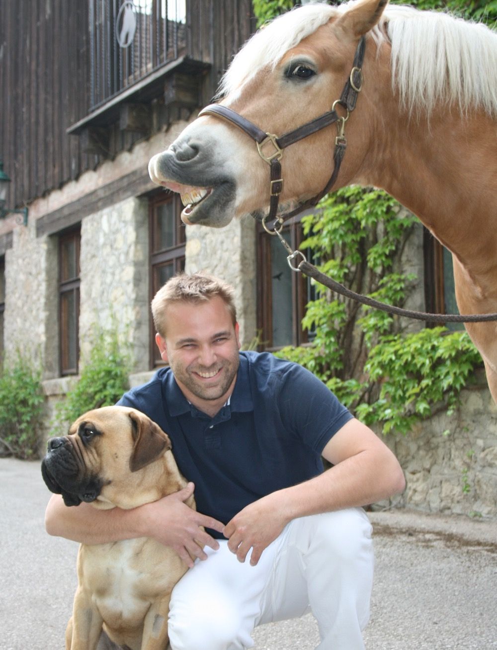 Pferdeklinik, Tierklinik im Gaaden