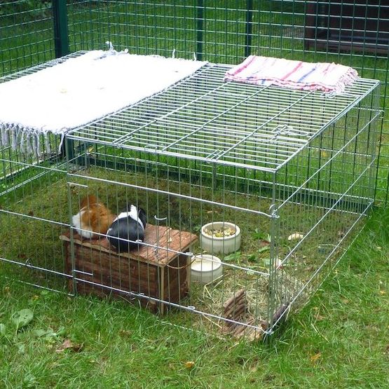 Tierklinik - Hundepension - Katzenpension - Kleintierpension - Gaaden