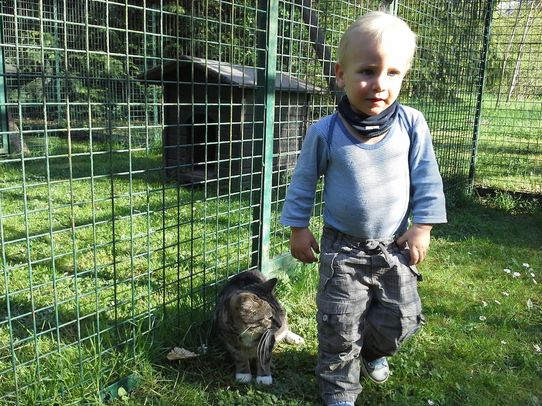 Tierklinik - Hundepension - Katzenpension - Kleintierpension - Gaaden