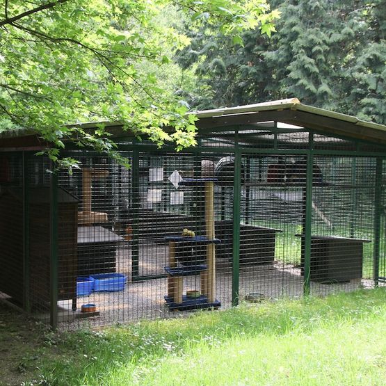 Tierklinik - Hundepension - Katzenpension - Kleintierpension - Gaaden