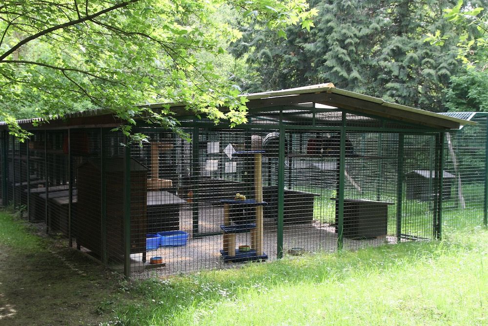 Tierklinik - Hundepension - Katzenpension - Kleintierpension - Gaaden