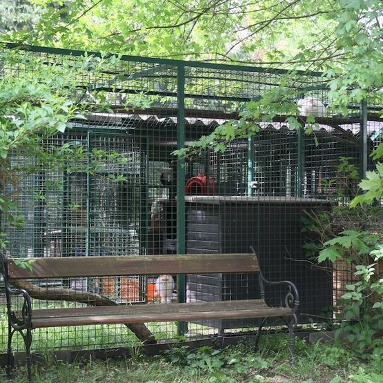 Tierklinik - Hundepension - Katzenpension - Kleintierpension - Gaaden