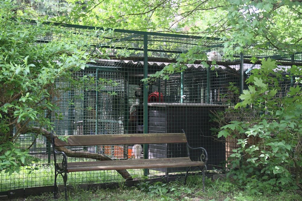 Tierklinik - Hundepension - Katzenpension - Kleintierpension - Gaaden