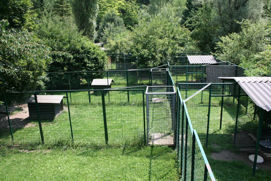 Tierklinik - Hundepension - Katzenpension - Kleintierpension - Gaaden