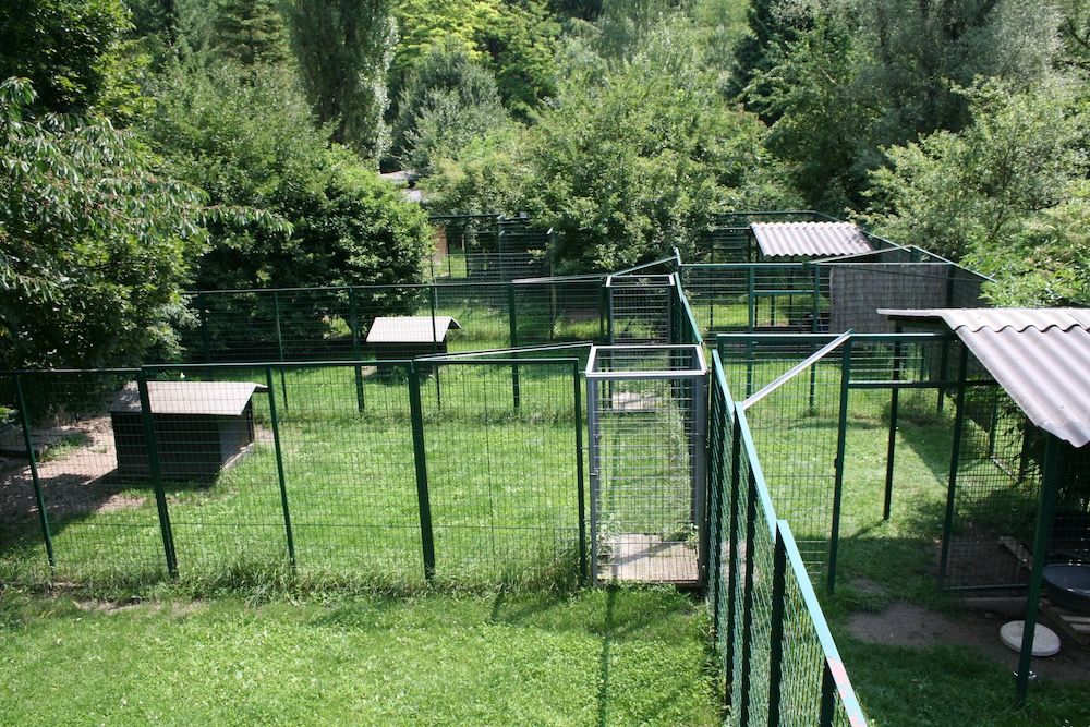 Tierklinik - Hundepension - Katzenpension - Kleintierpension - Gaaden